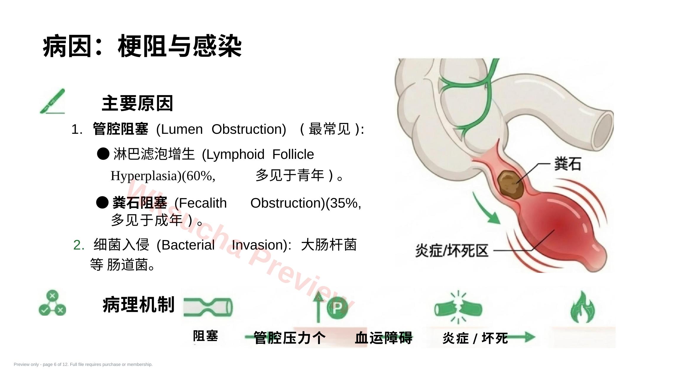预览第 6 页