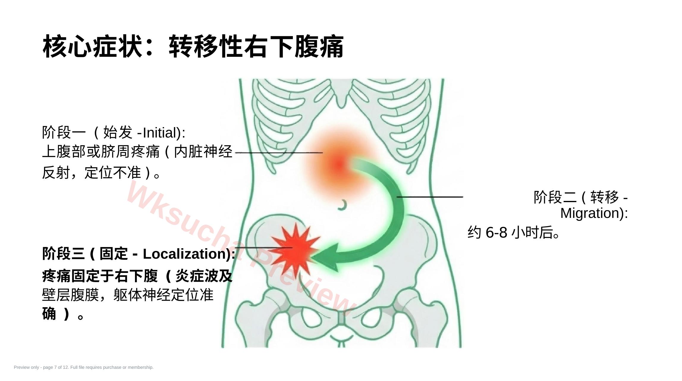 预览第 7 页