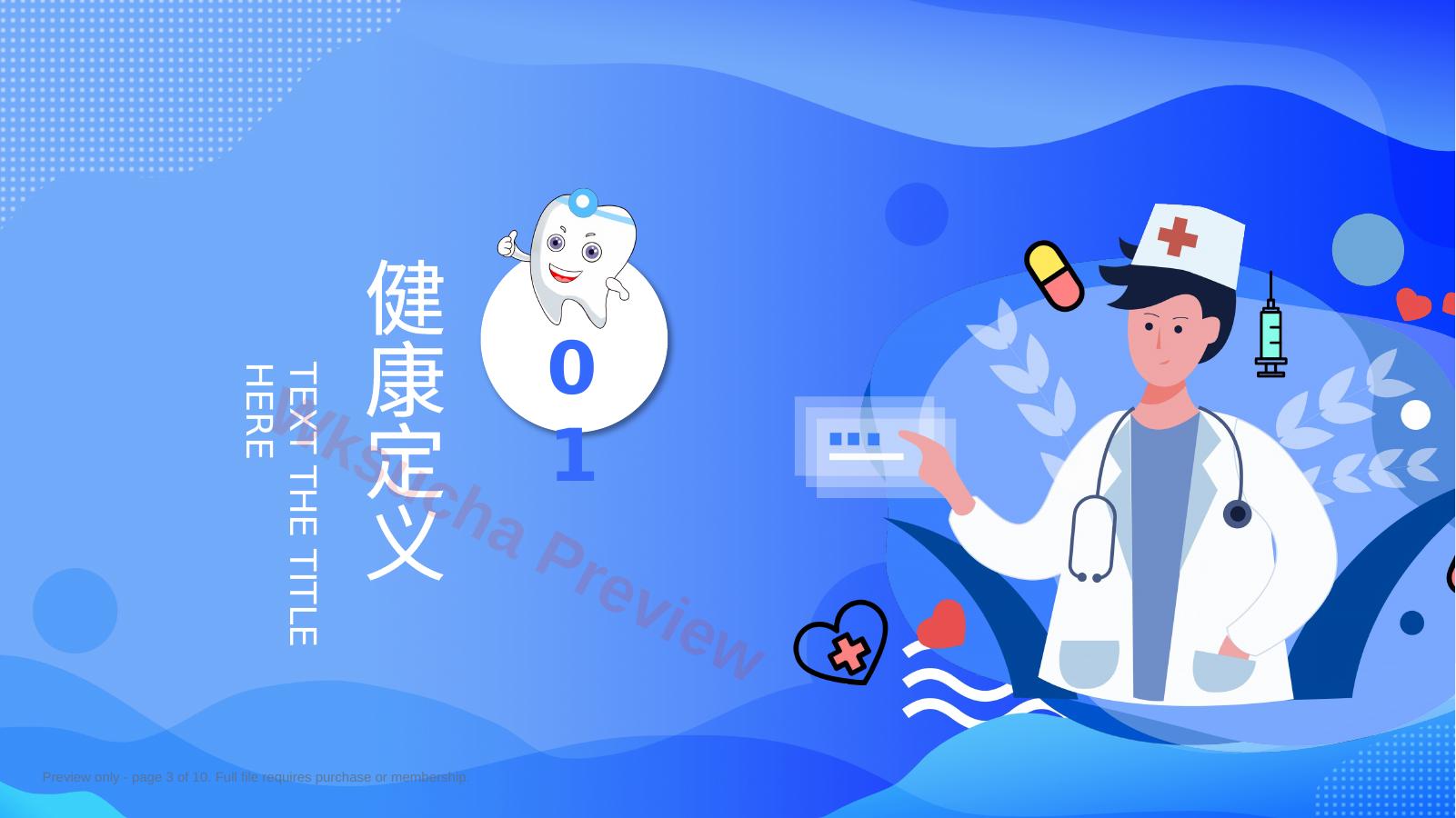 预览第 3 页