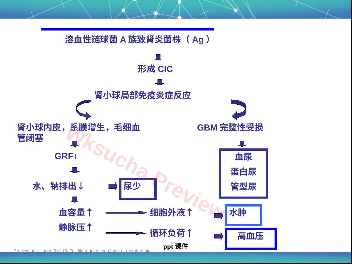 预览第 5 页