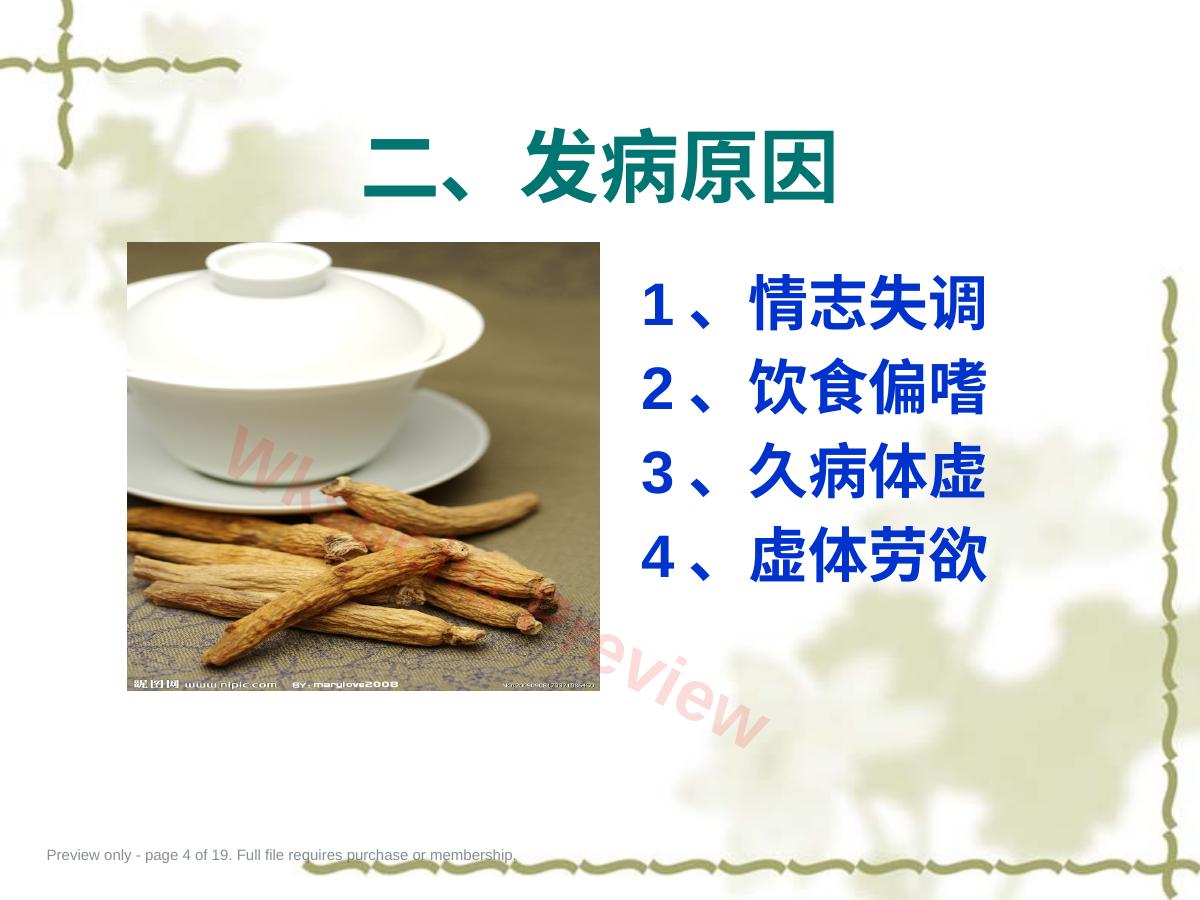预览第 4 页