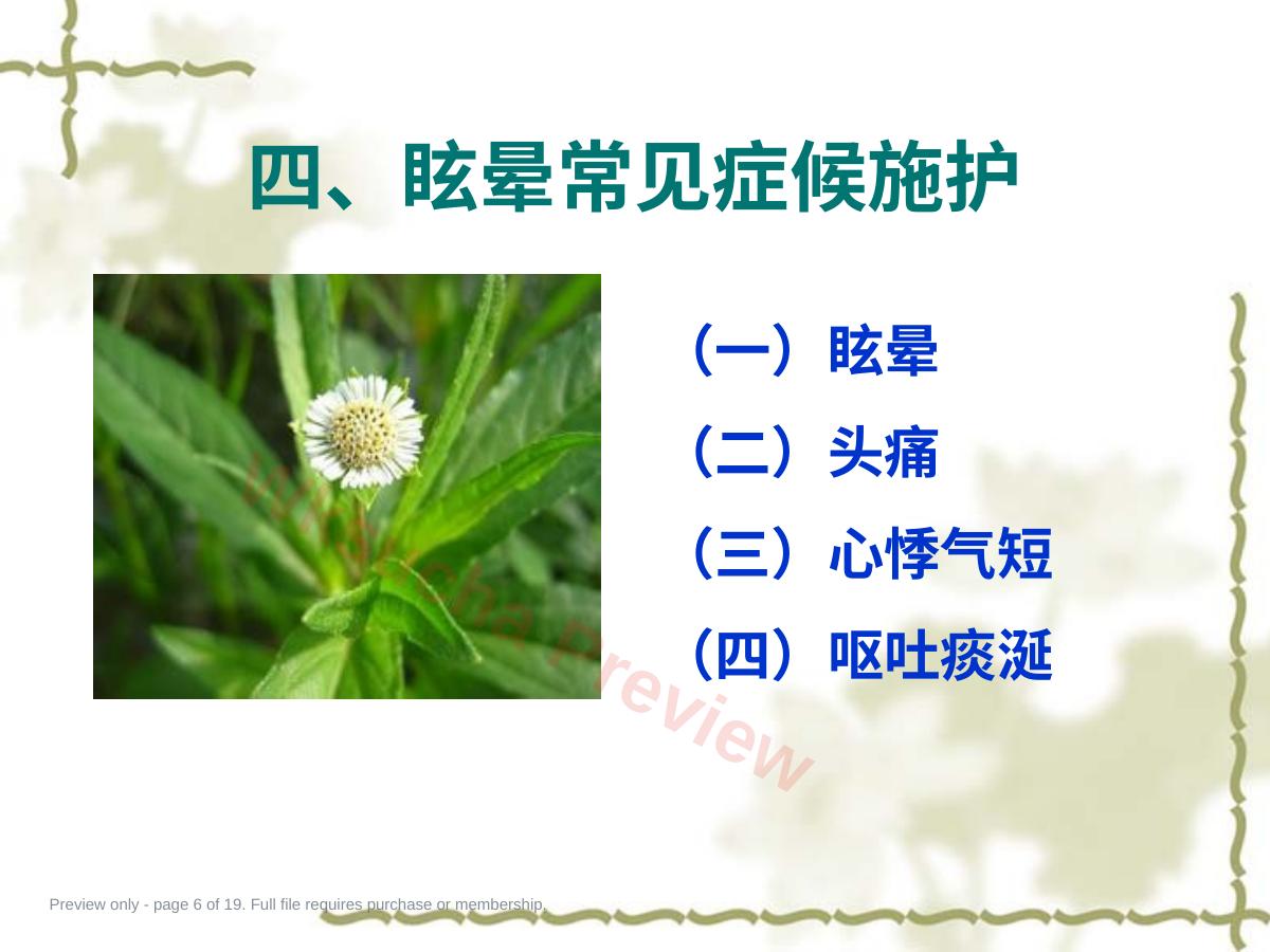 预览第 6 页