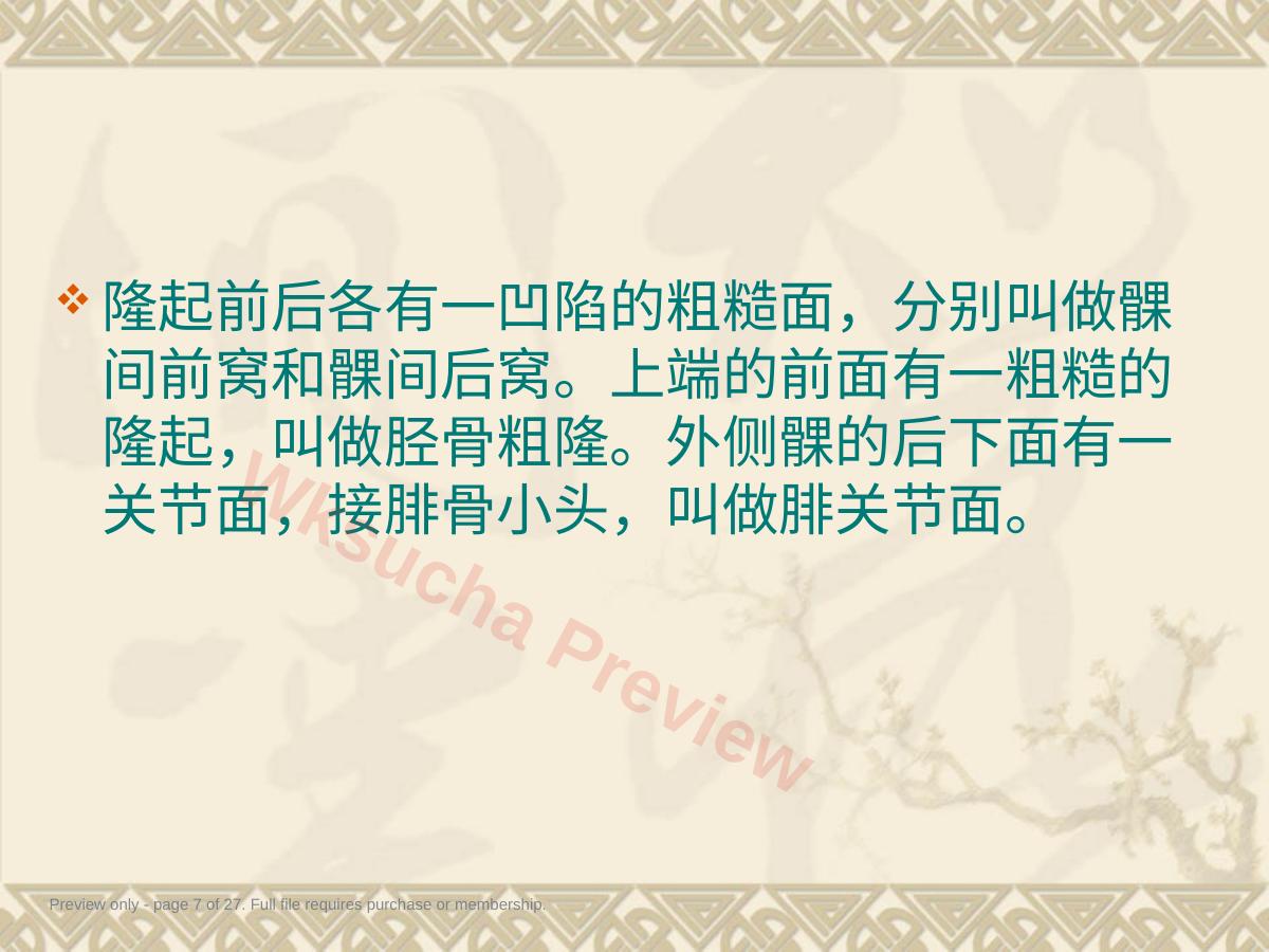 预览第 7 页