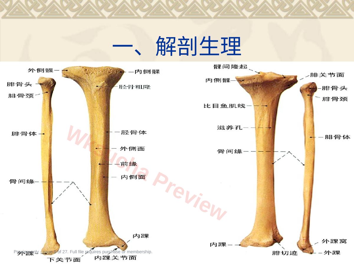 预览第 8 页