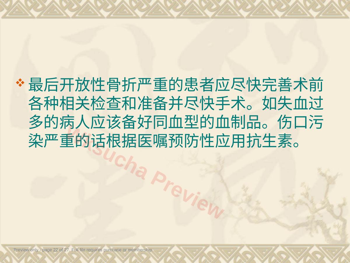 预览第 22 页