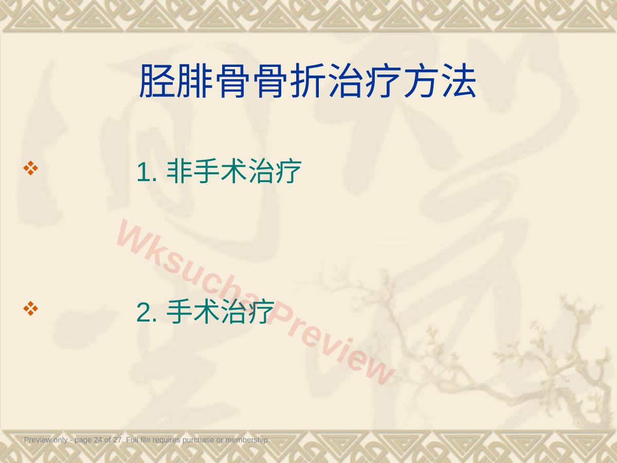 预览第 24 页