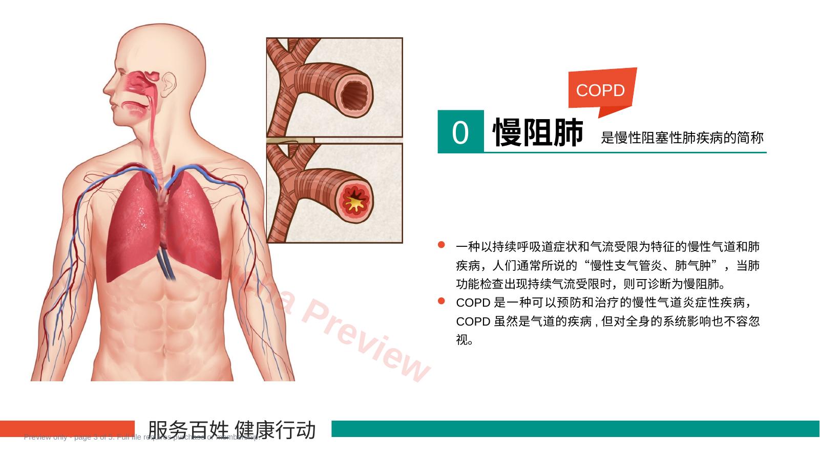 预览第 3 页