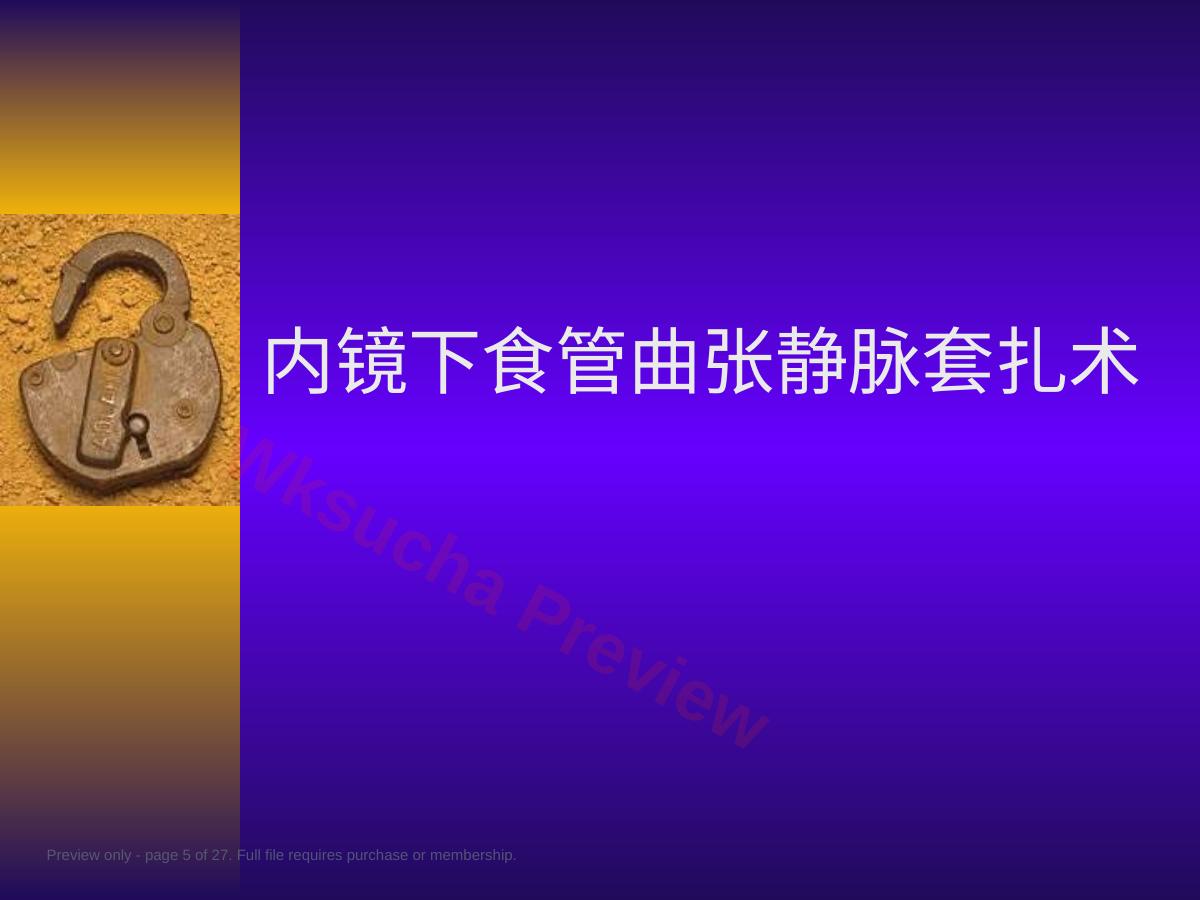预览第 5 页