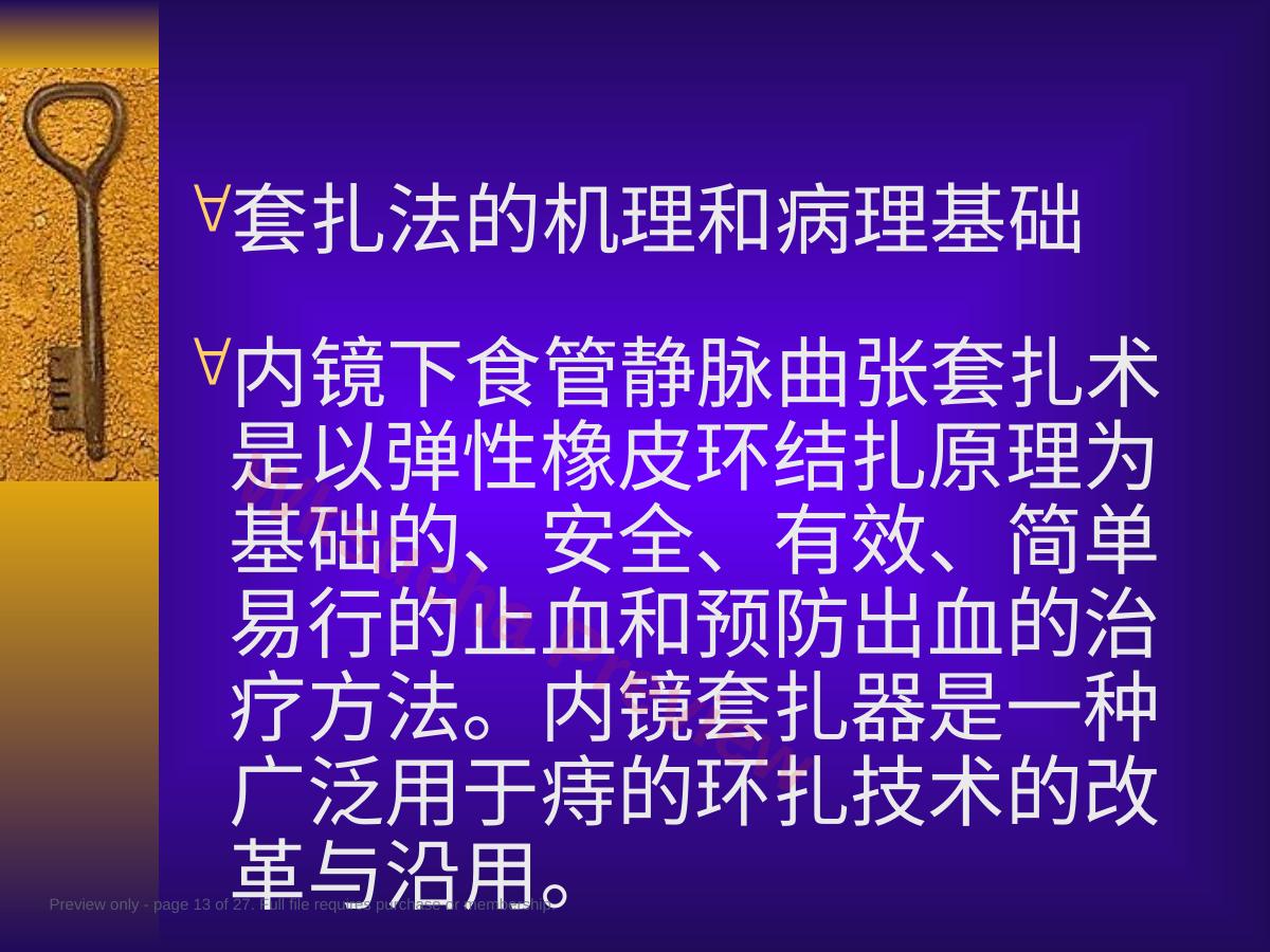 预览第 13 页