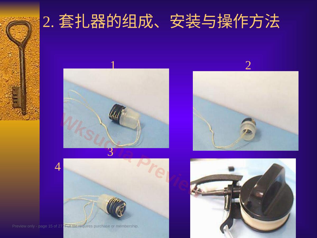 预览第 15 页