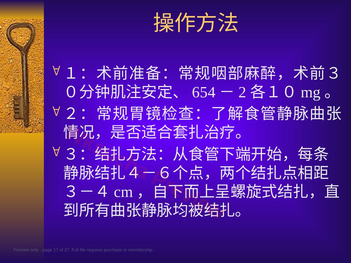 预览第 17 页