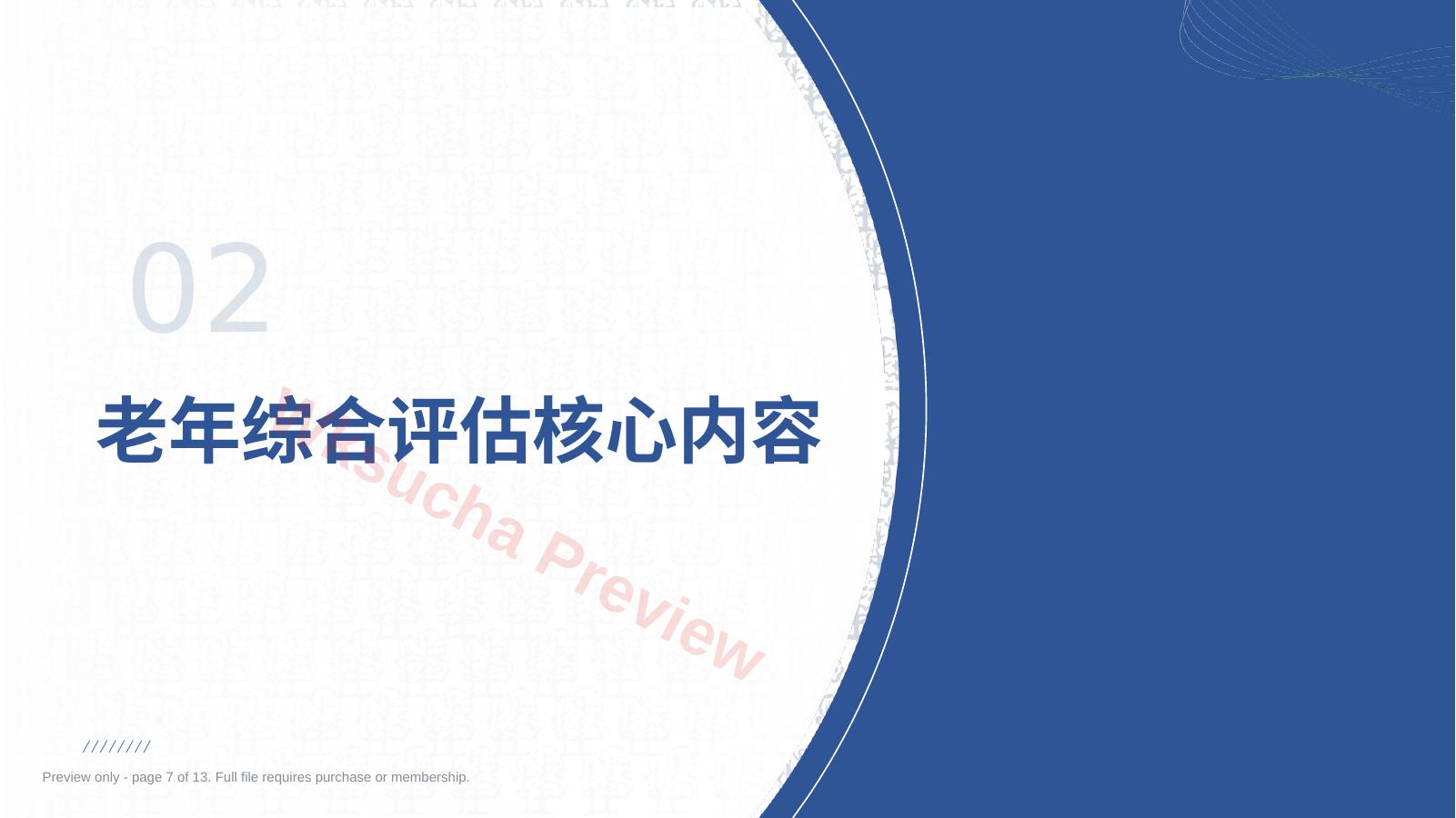预览第 7 页