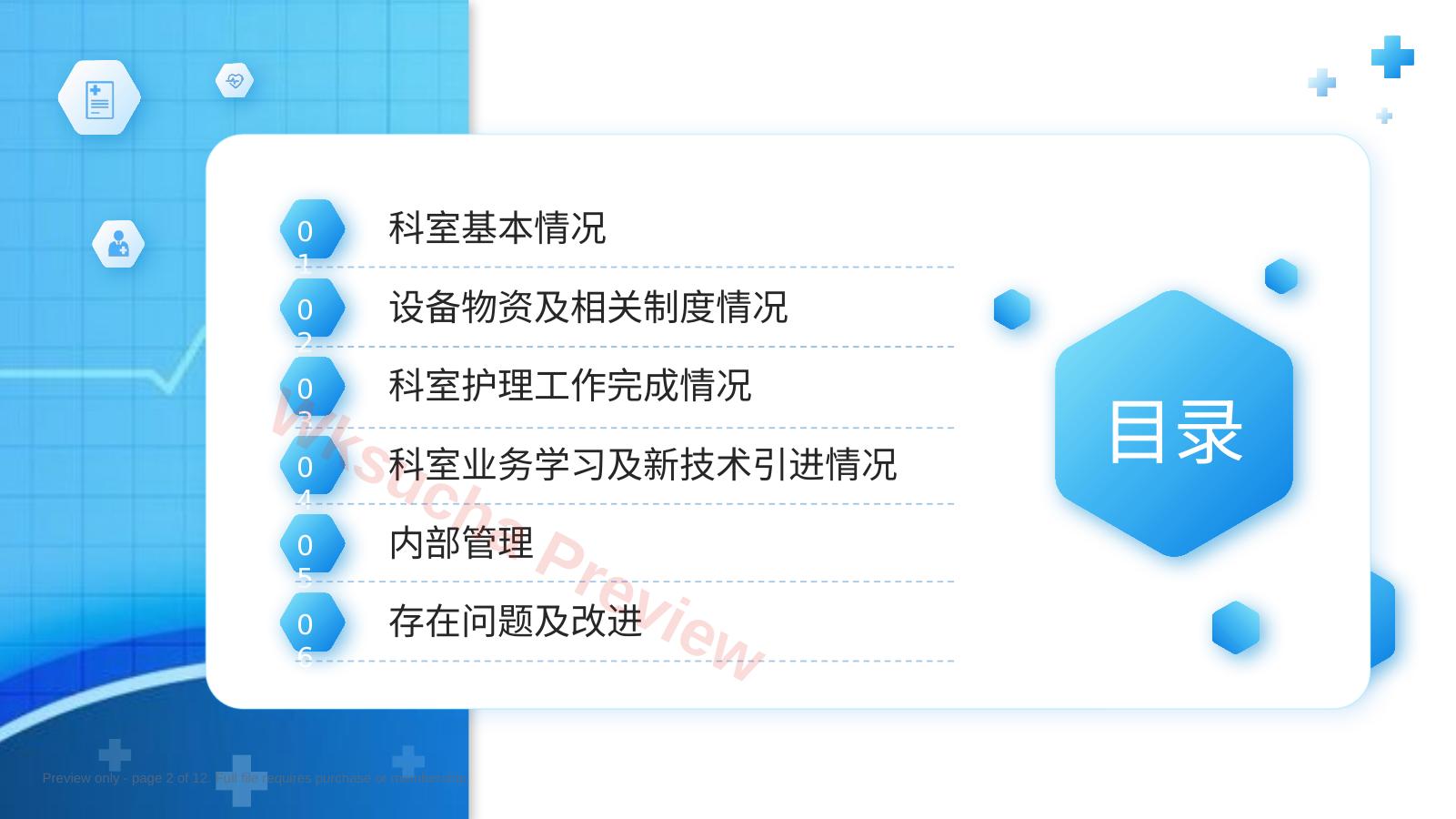 预览第 2 页