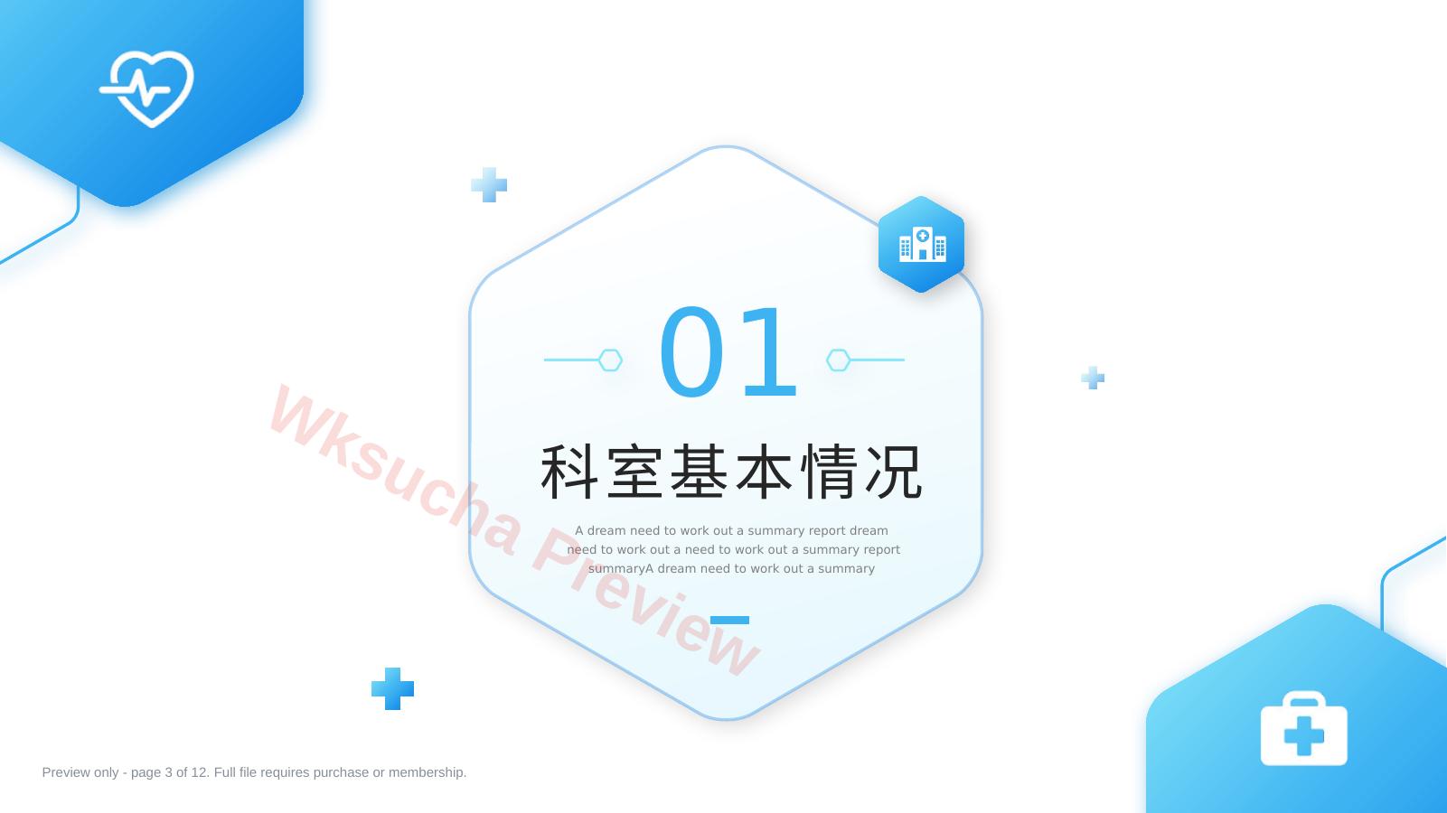 预览第 3 页