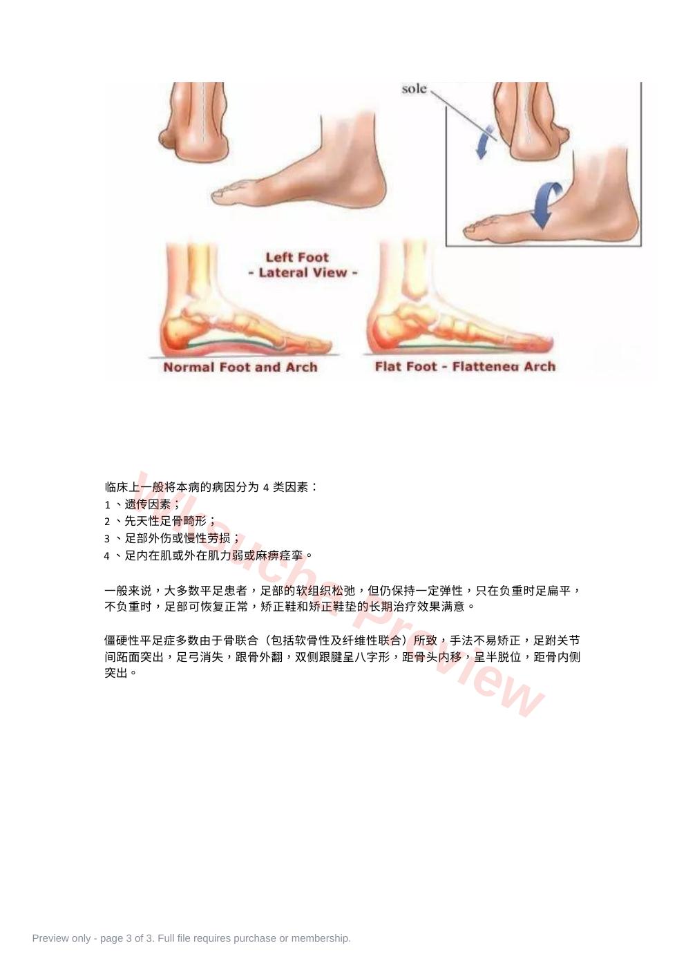 预览第 3 页