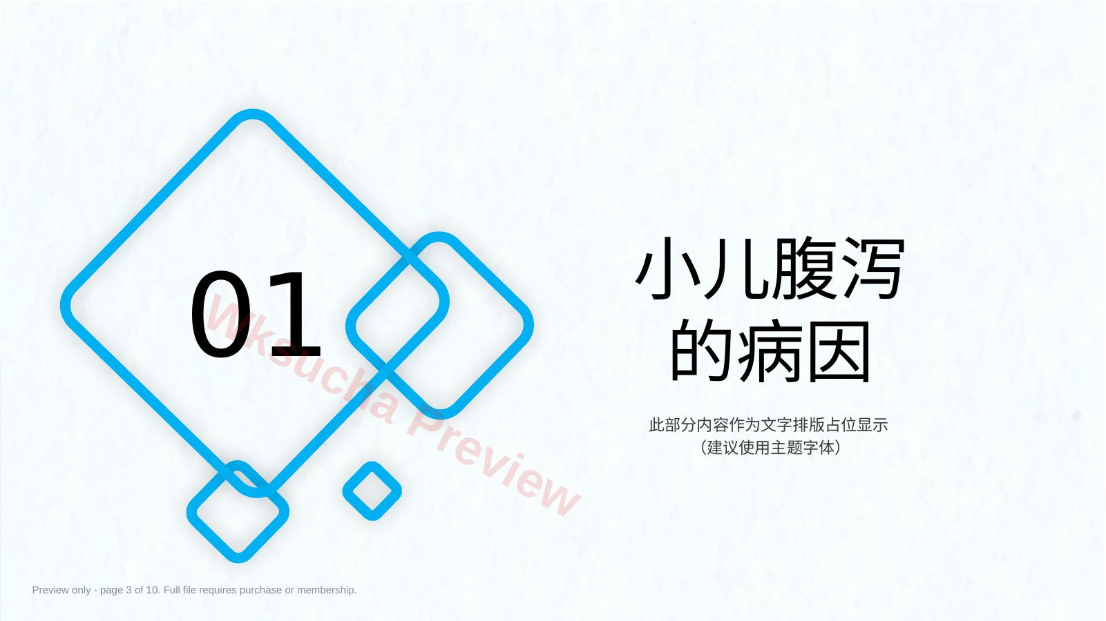 预览第 3 页