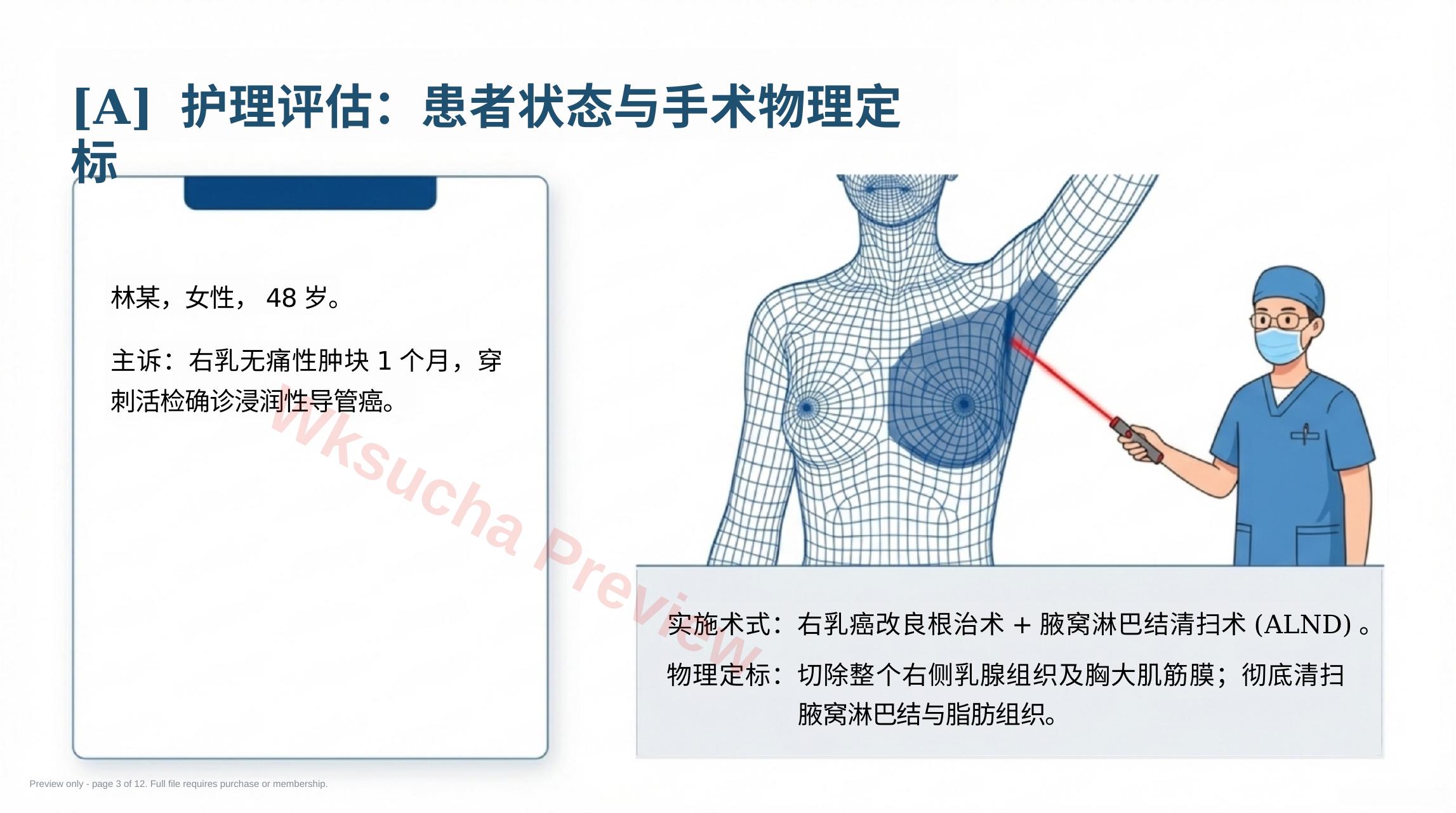 预览第 3 页