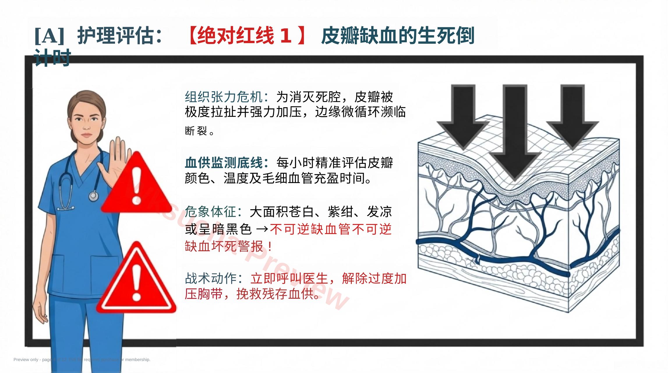 预览第 4 页