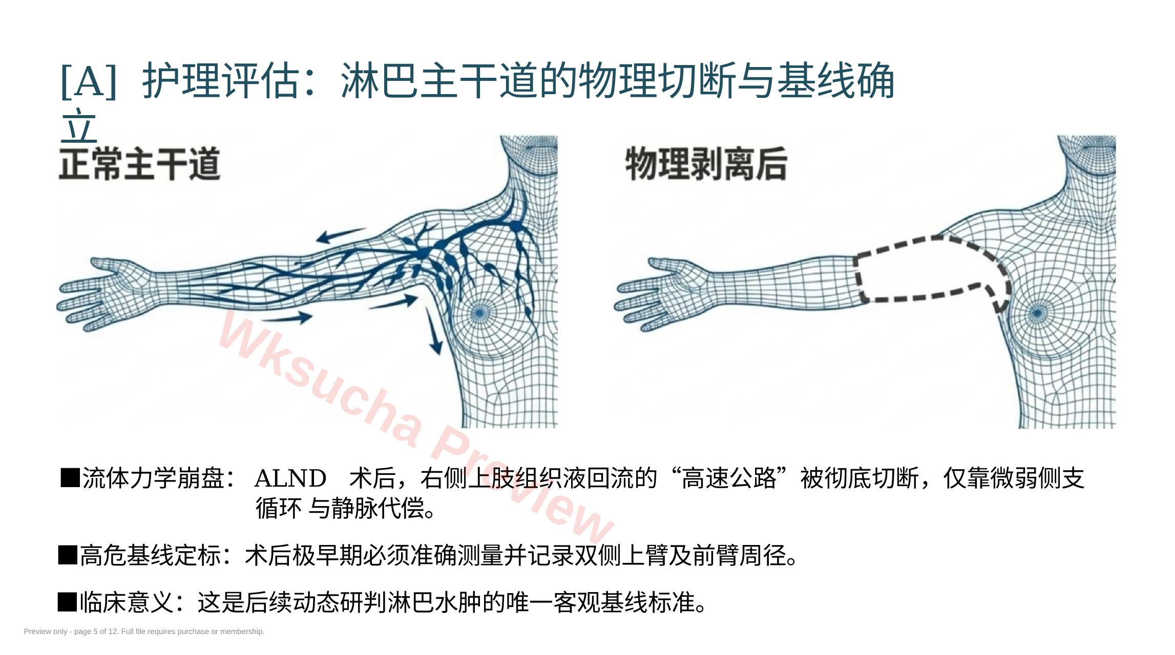 预览第 5 页