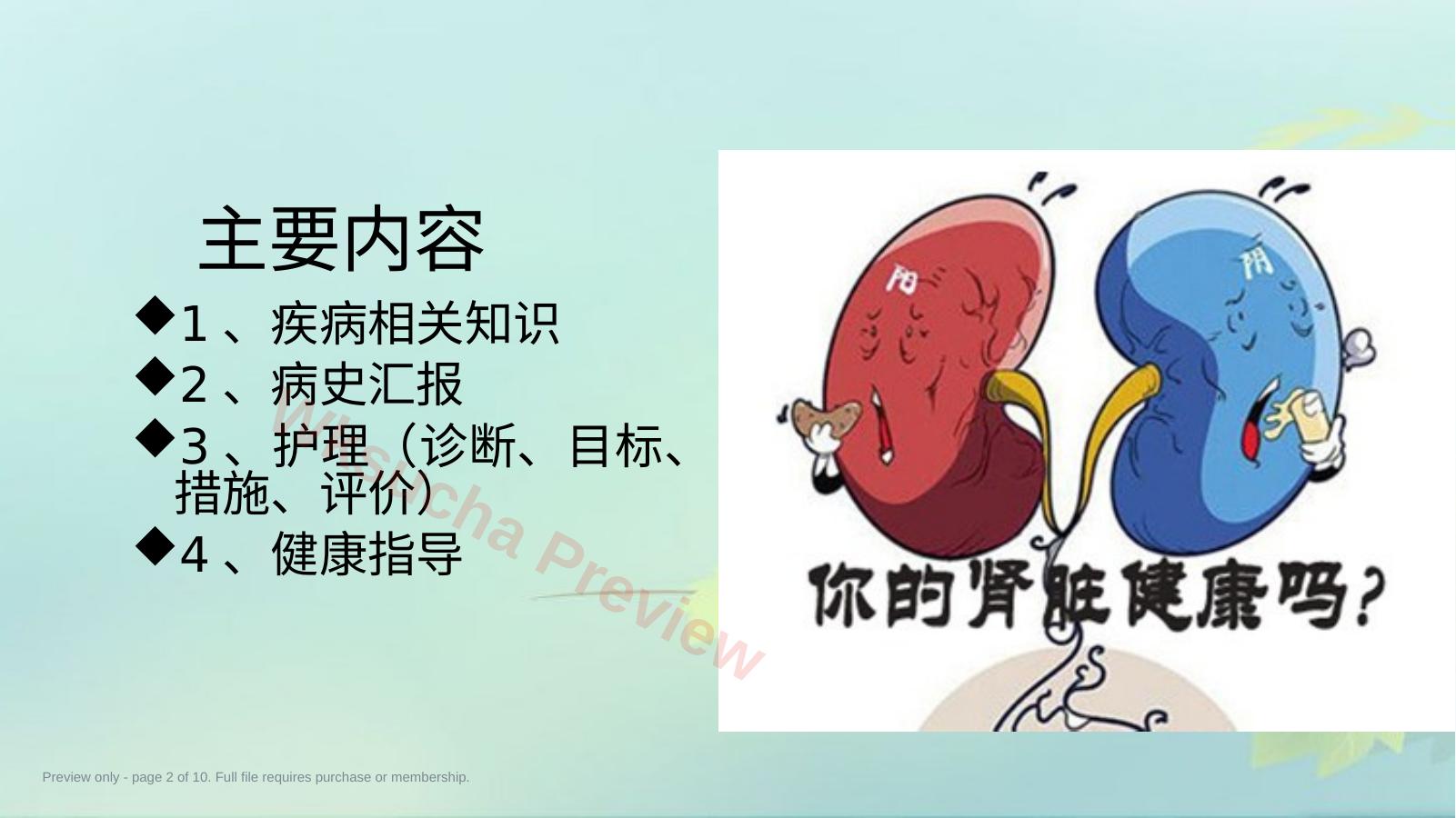 预览第 2 页