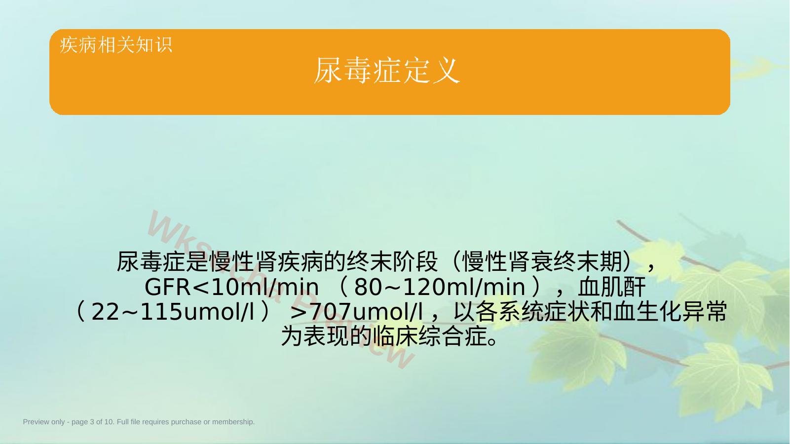 预览第 3 页