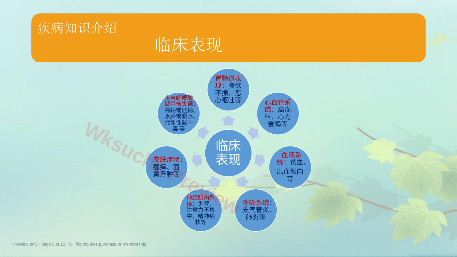 预览第 5 页