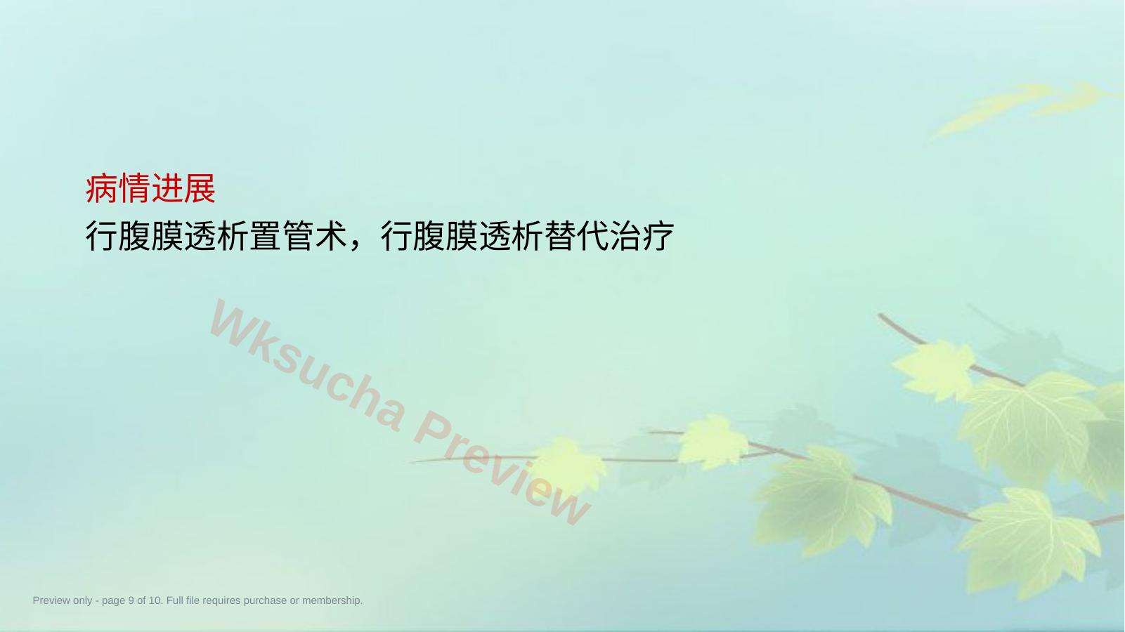 预览第 9 页