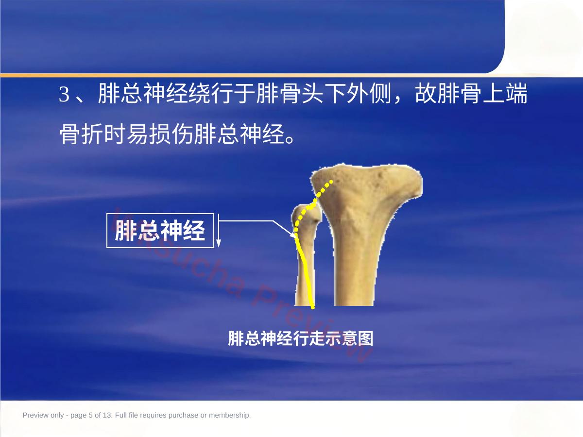 预览第 5 页