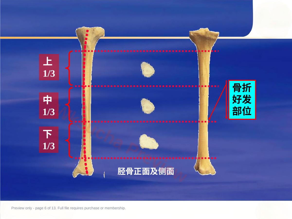 预览第 6 页