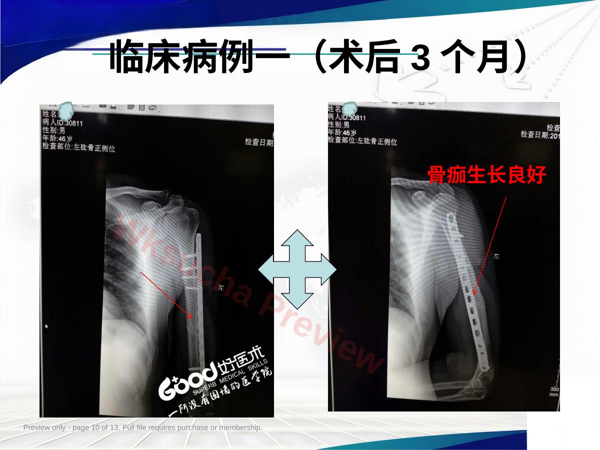 预览第 10 页