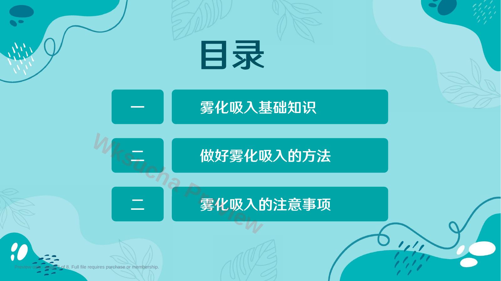 预览第 2 页