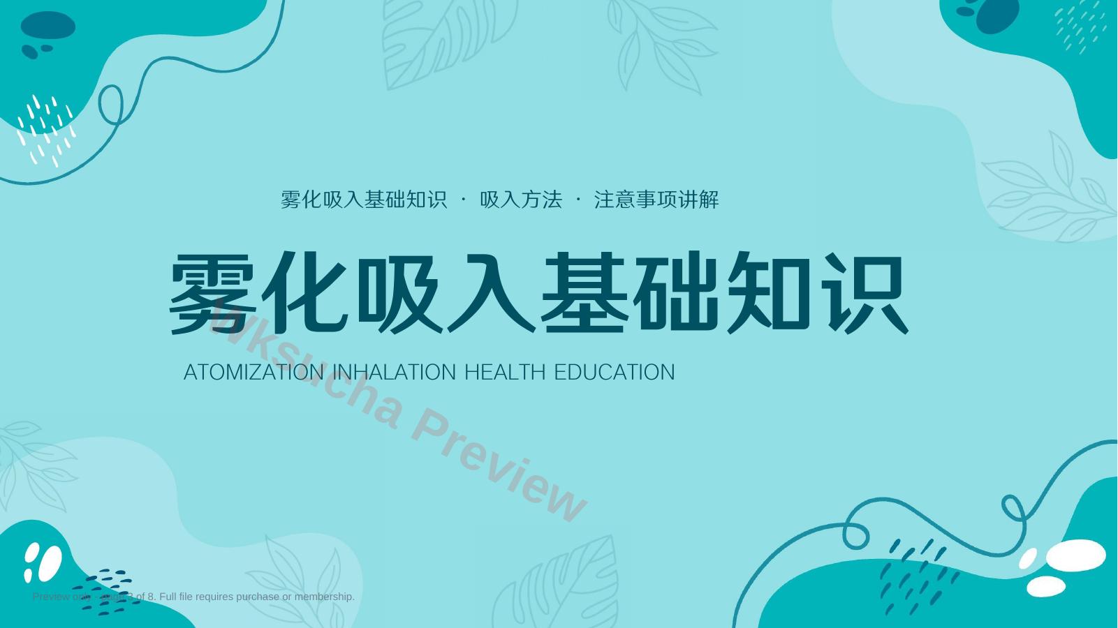 预览第 3 页