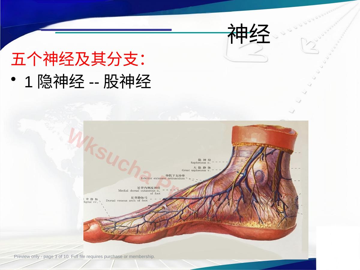 预览第 3 页