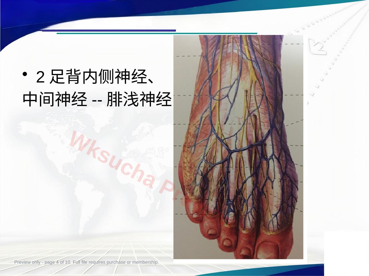 预览第 4 页
