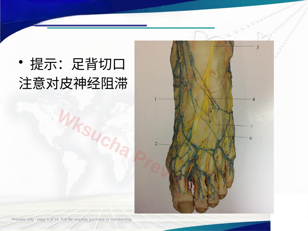 预览第 5 页