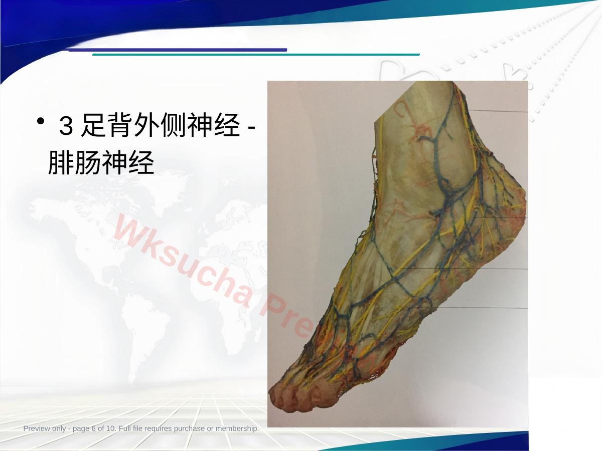 预览第 6 页