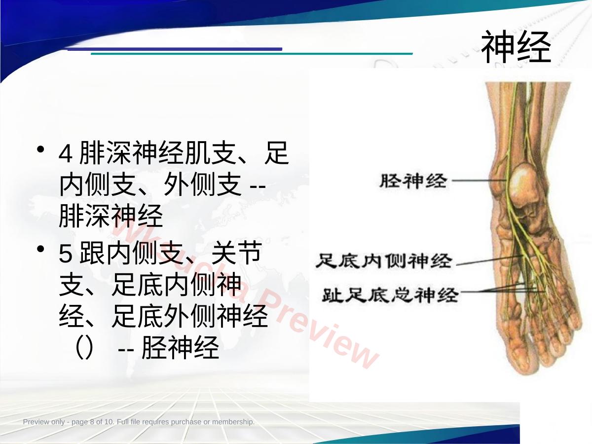 预览第 8 页