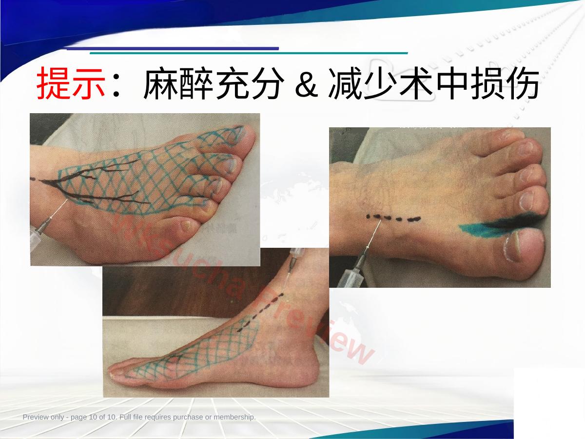 预览第 10 页