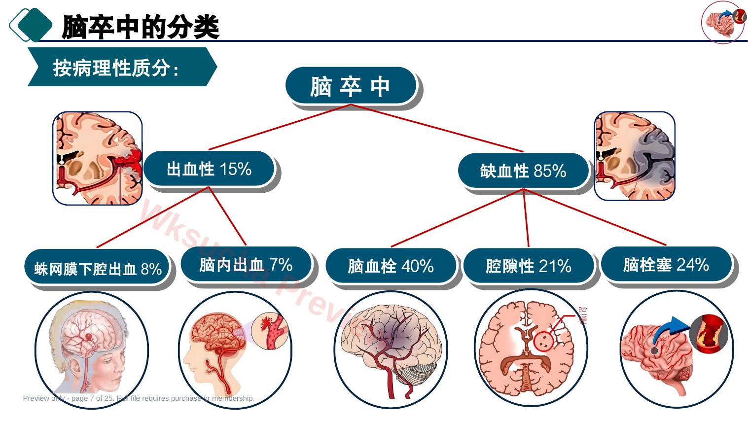 预览第 7 页