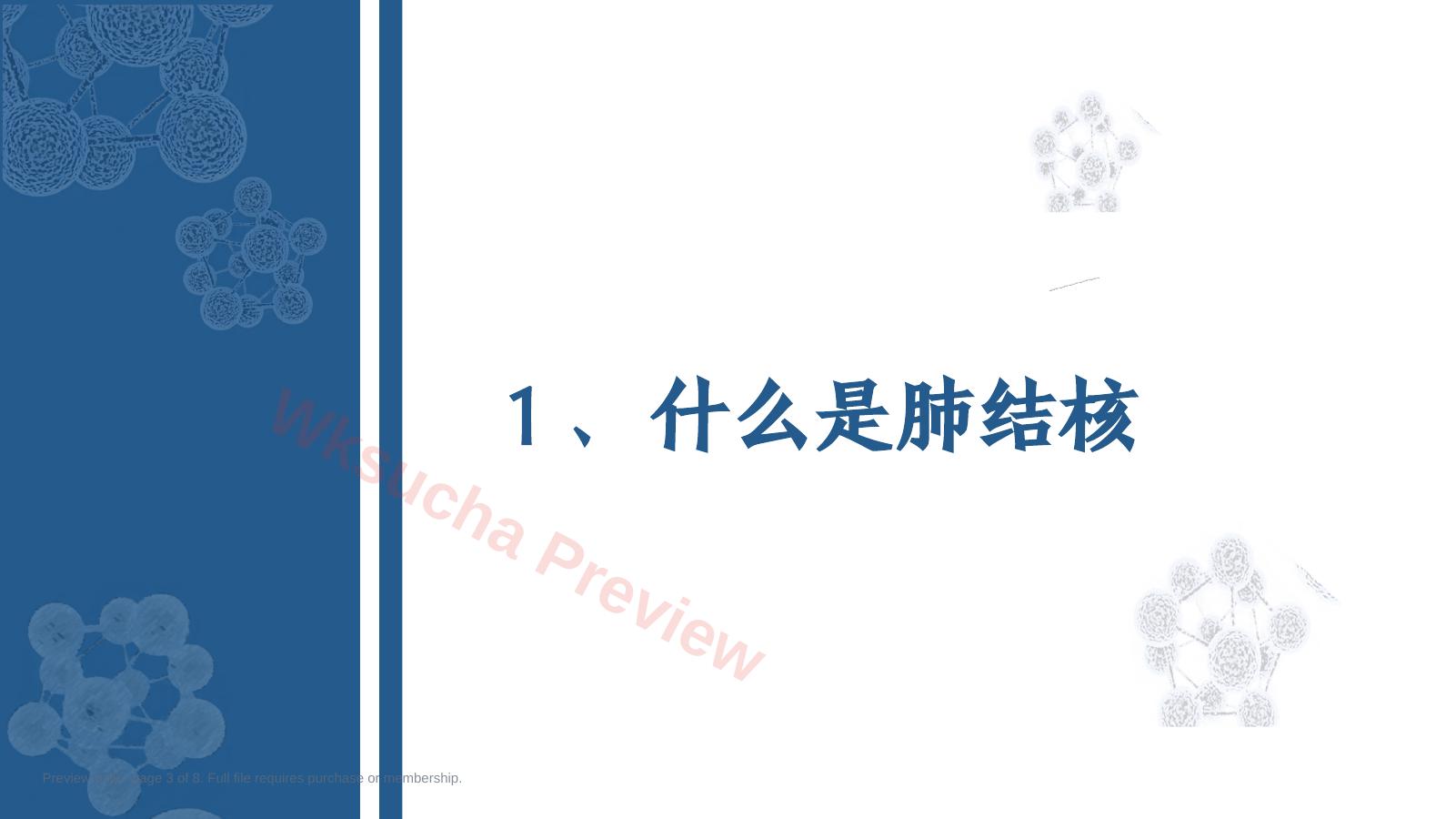 预览第 3 页