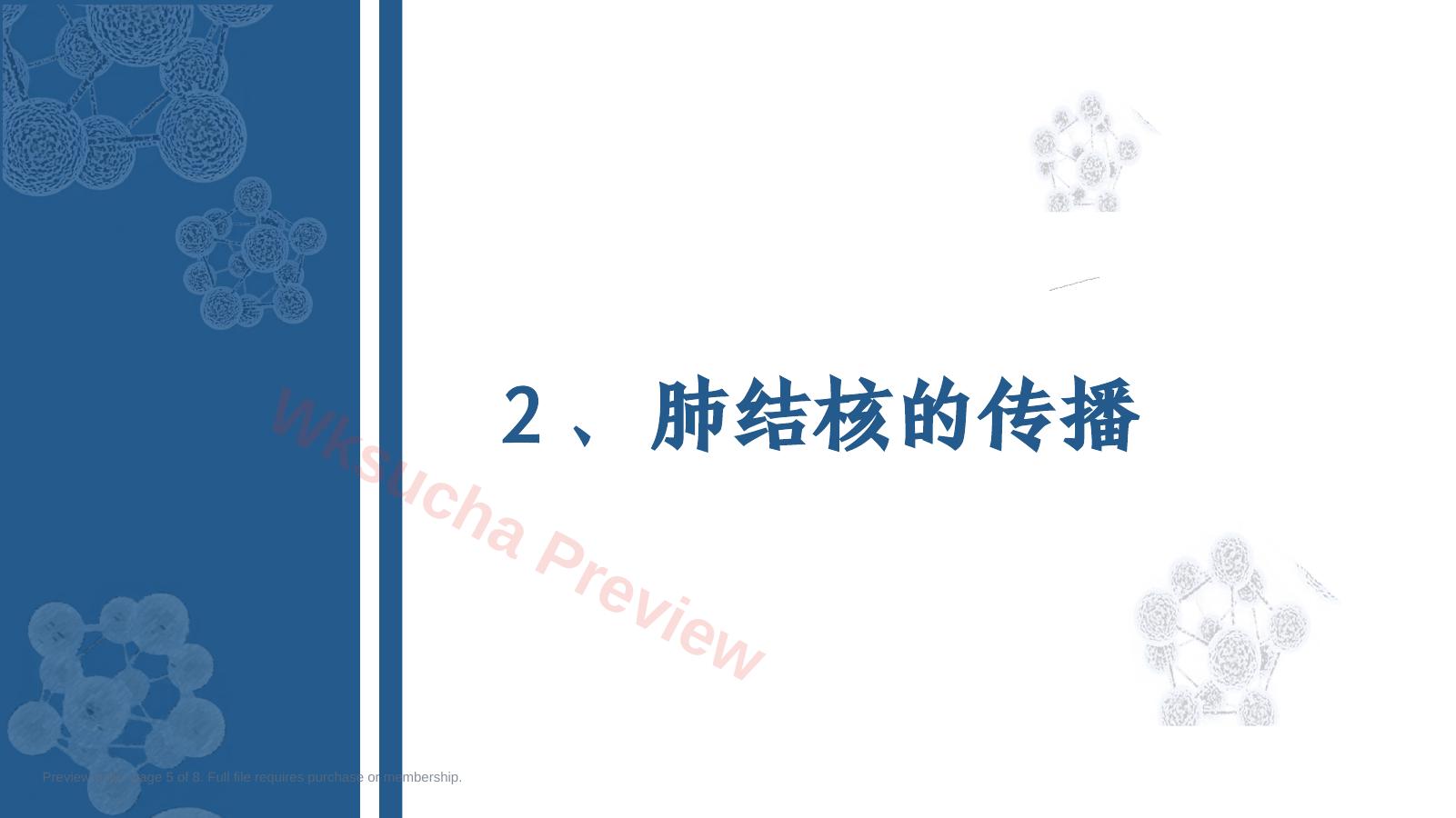 预览第 5 页