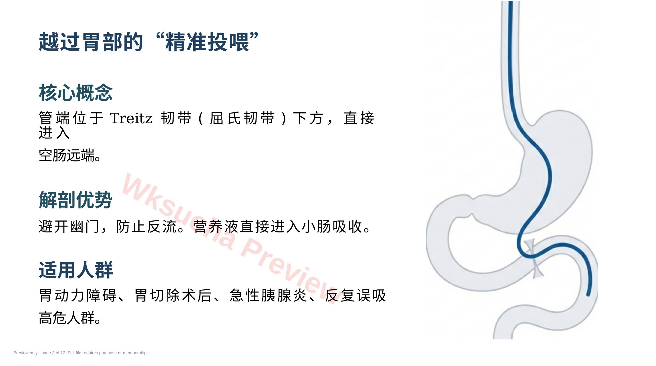 预览第 3 页