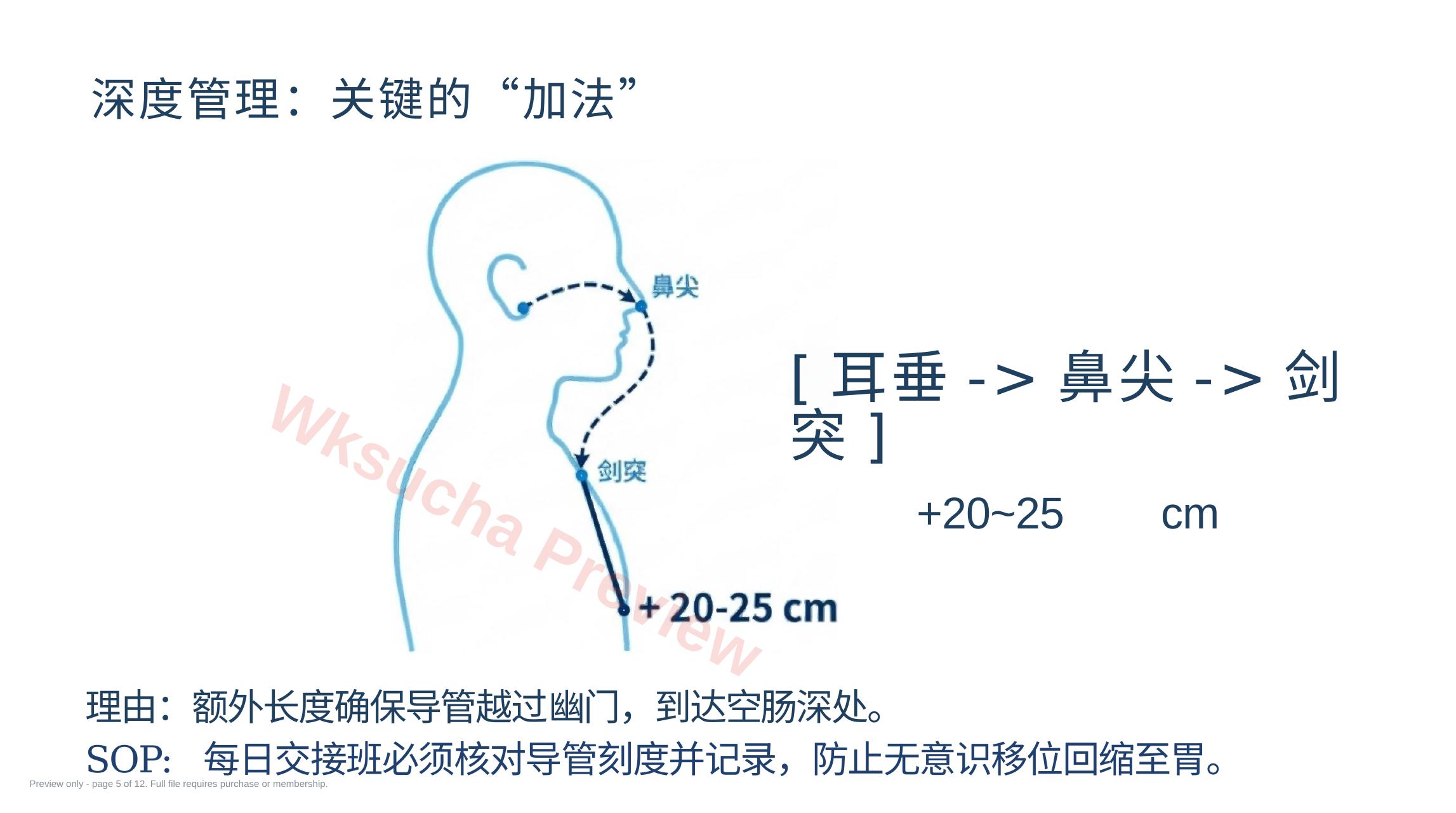 预览第 5 页