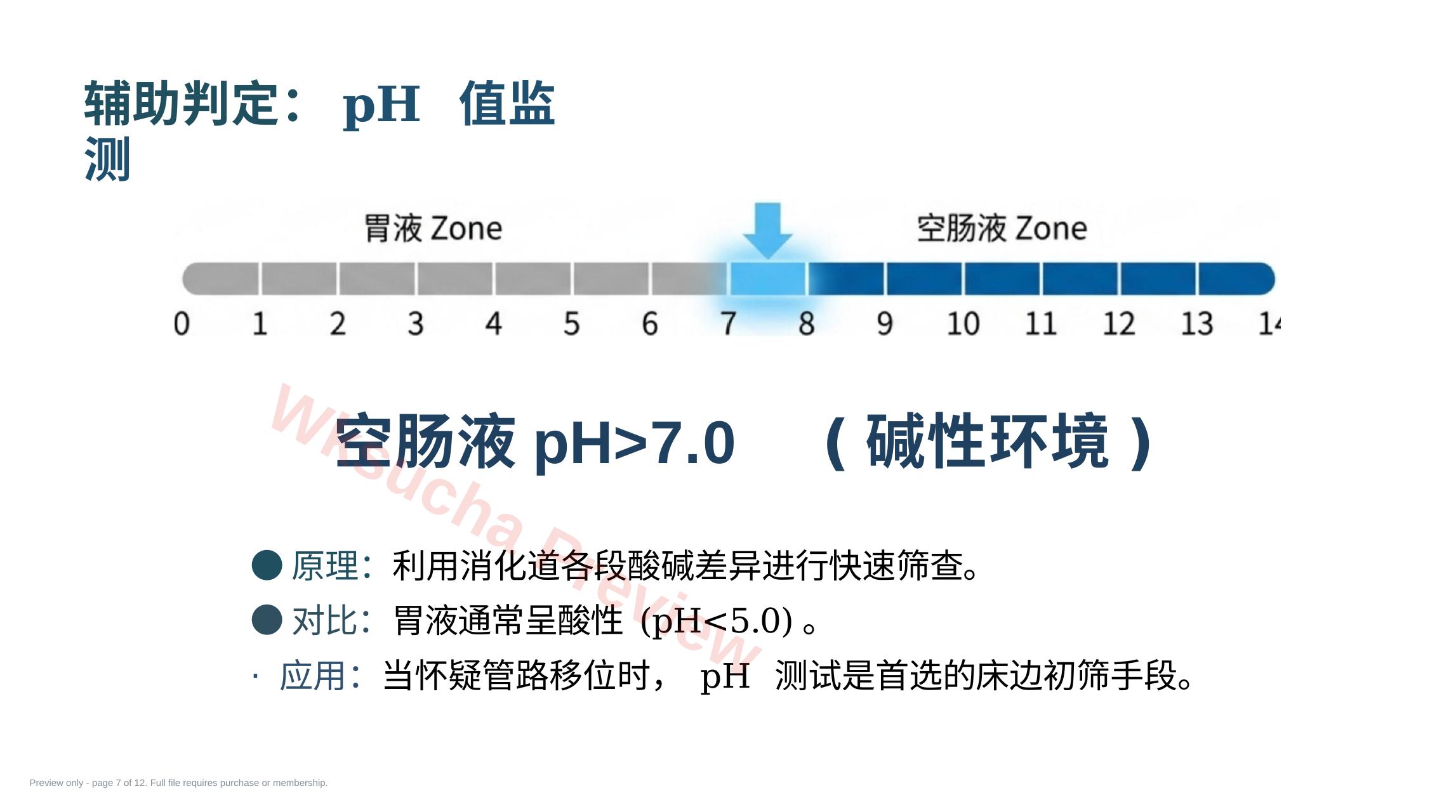 预览第 7 页