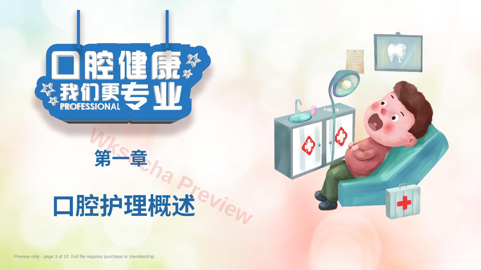预览第 3 页