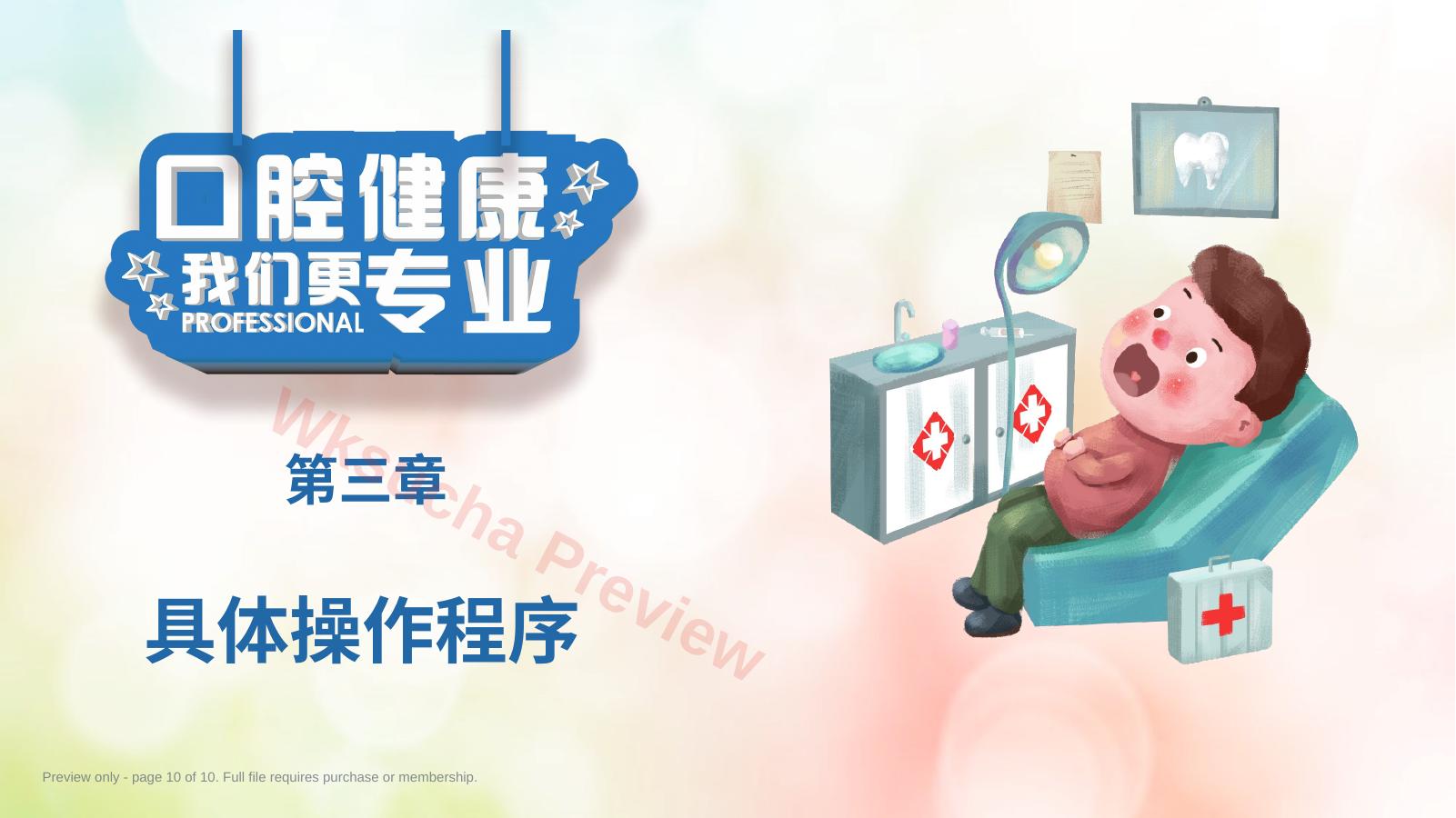 预览第 10 页