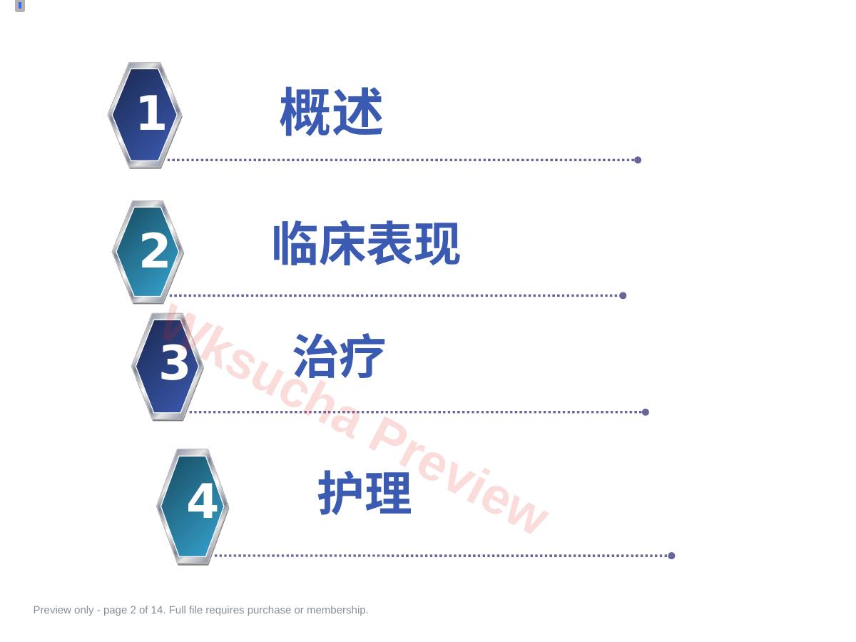 预览第 2 页