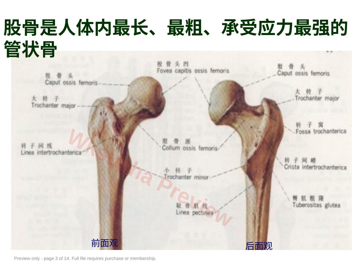 预览第 3 页