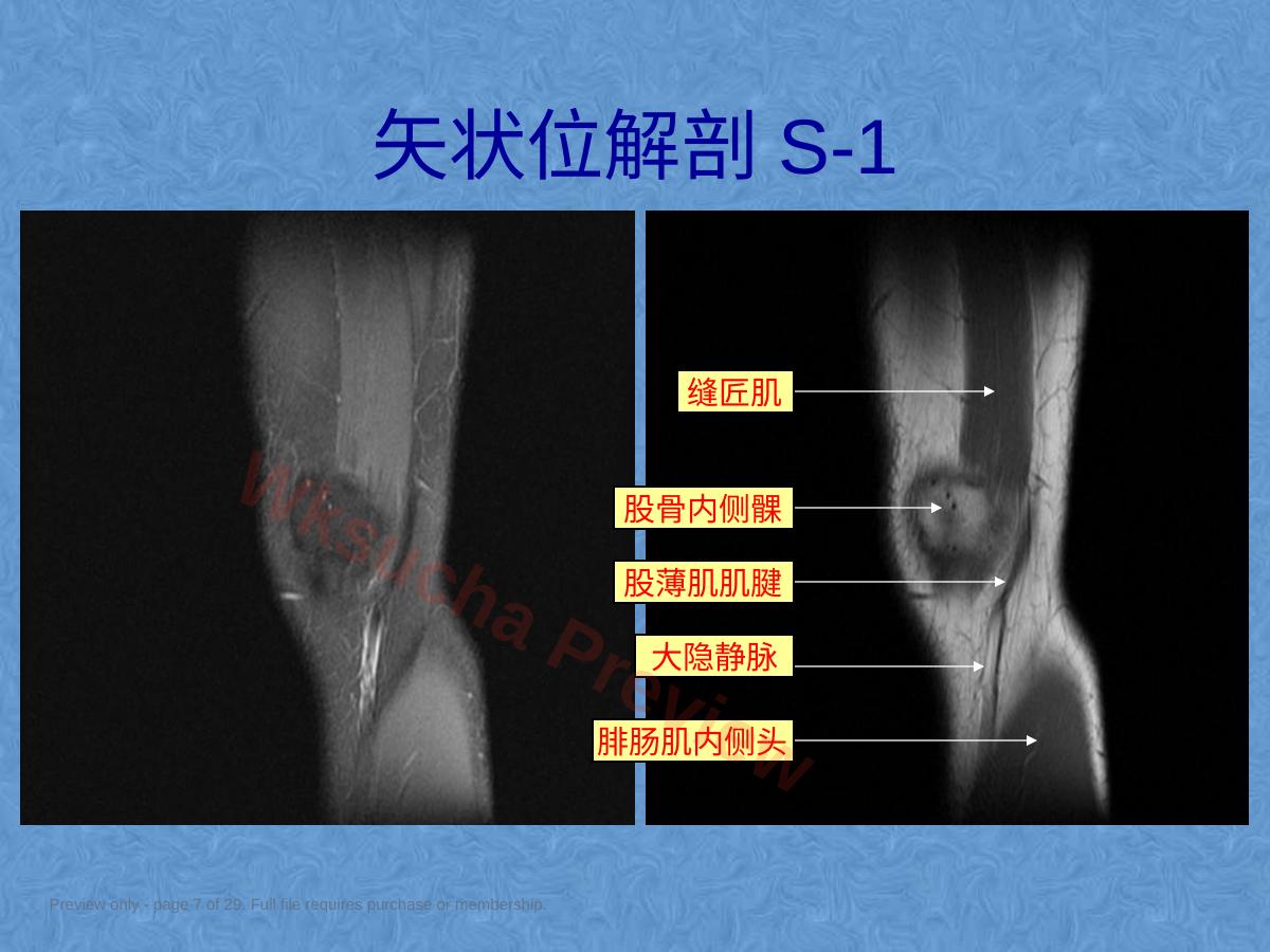 预览第 7 页