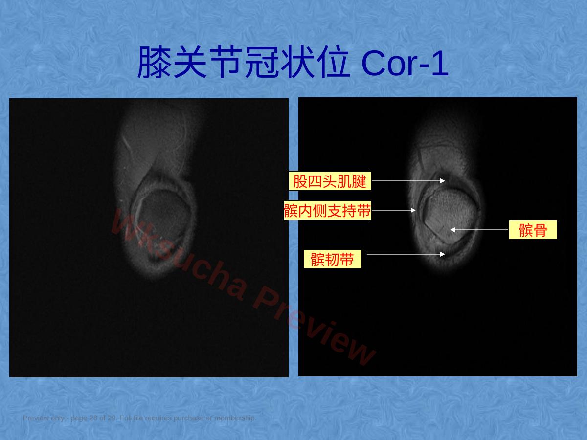 预览第 28 页